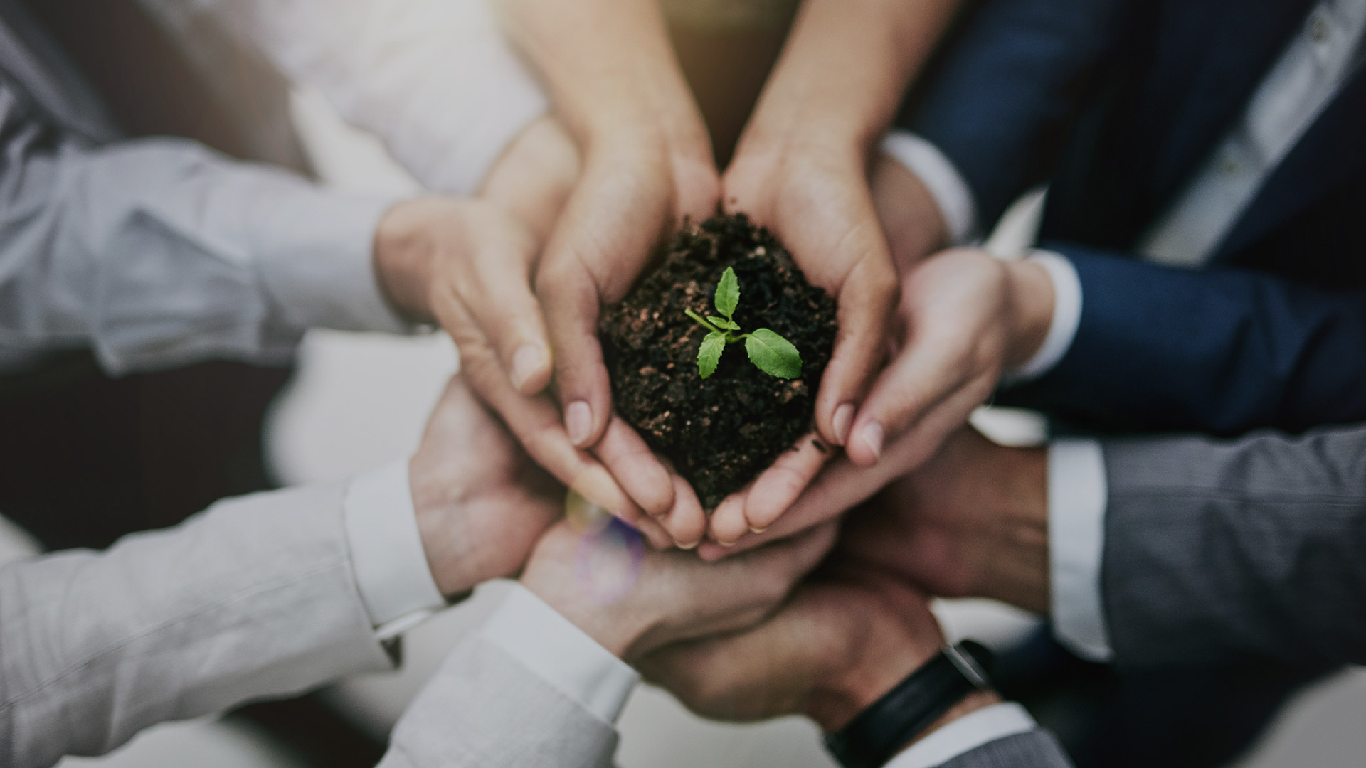Environmental Management and Impact Assessment